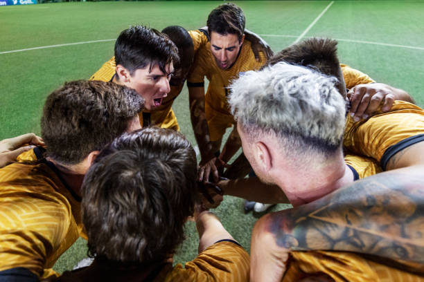 草皮质量 草皮质量