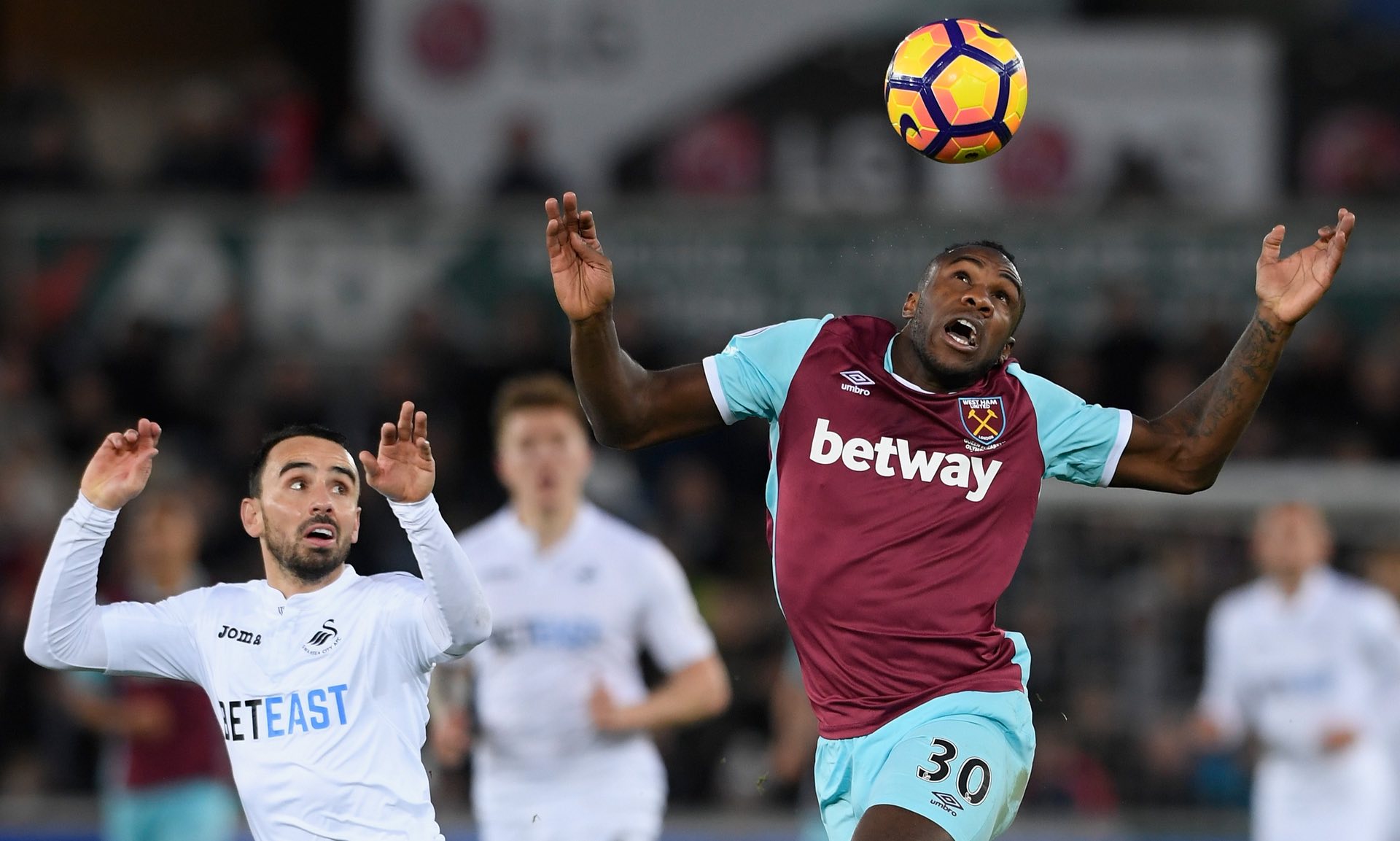 賽季全新主 賽季全新主