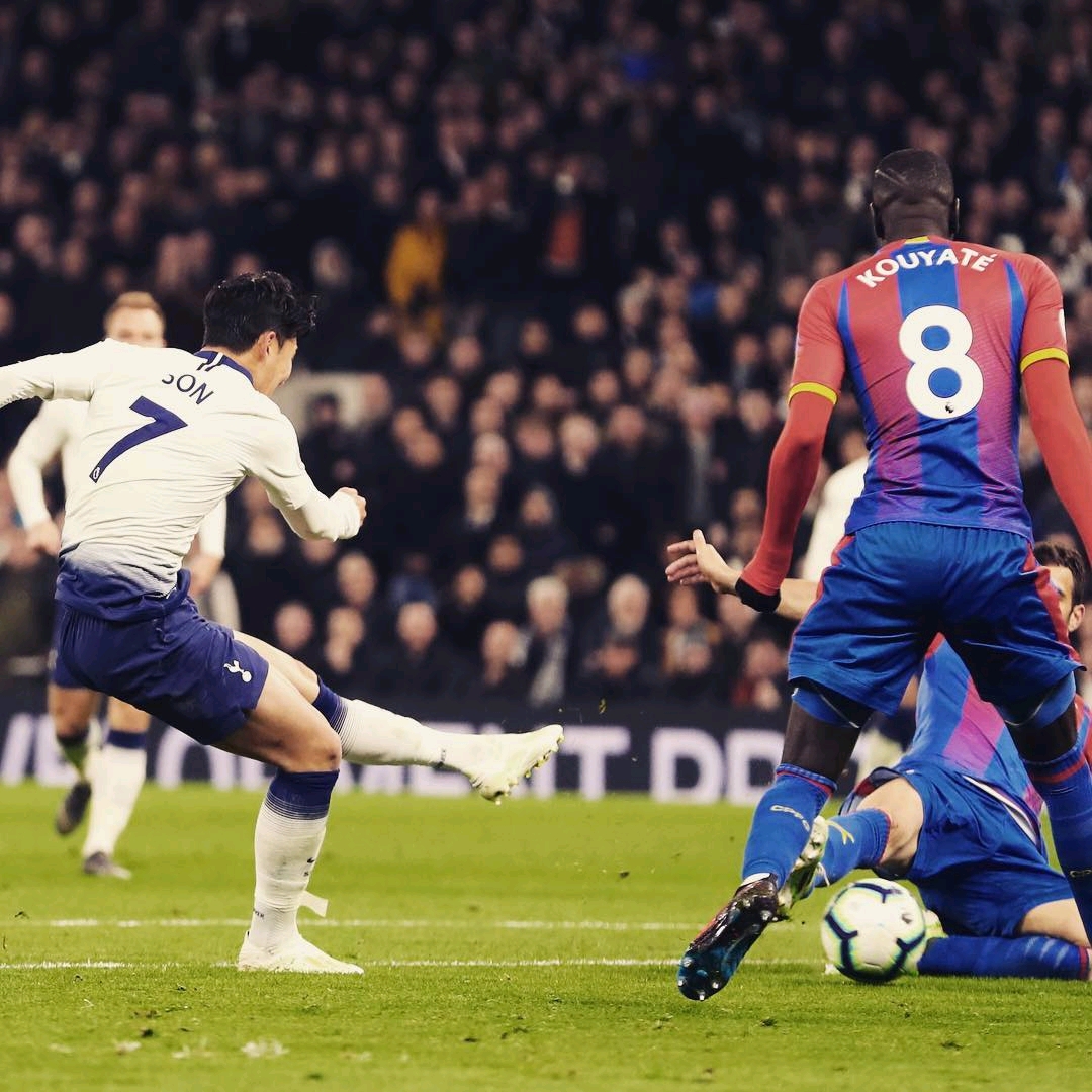 的广泛平台 的广泛平台